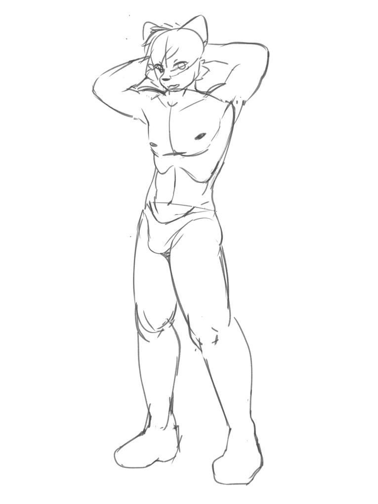 Unfinished wolf anatomy